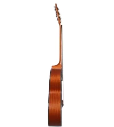 🔥Deviser L-720A Acoustic Guitar_img_2