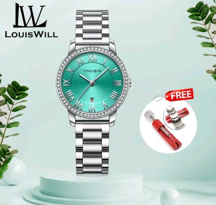🍁 LouisWill Ladies Retro Diamond Steel Strap Watches...