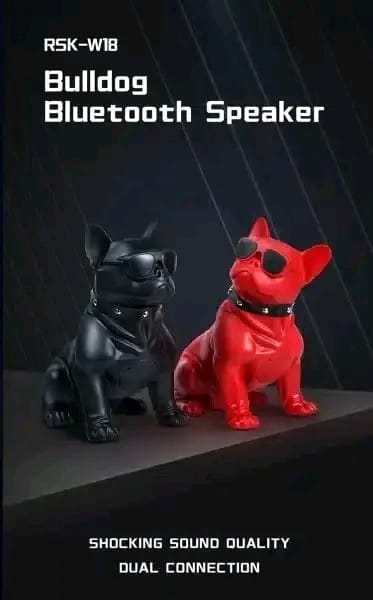🐶RECCI RSK-W18 BullDog Wireless Speaker with Microphone_img_1