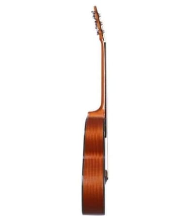 đĨDeviser L-720A Acoustic Guitar..._img_2