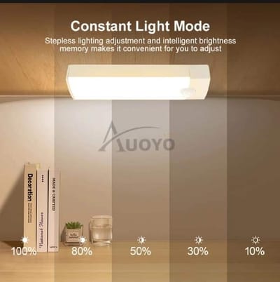 🔥Auoyo LED Body Motion Sensor Induction Long Strip Night Lamp_img_4